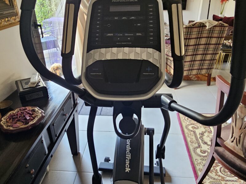 Nordic Eleptical workout machine