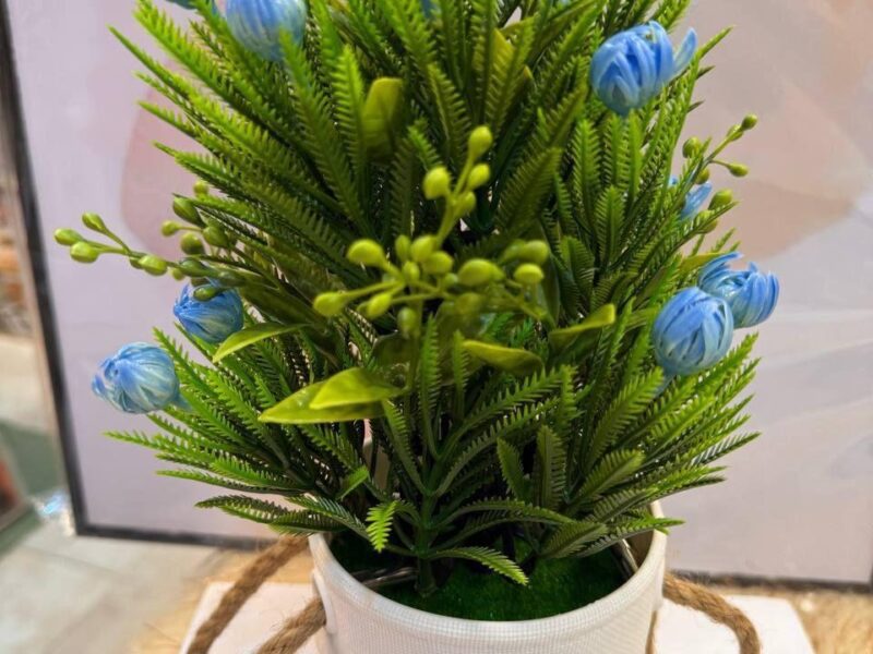 Home Accessories by Rania