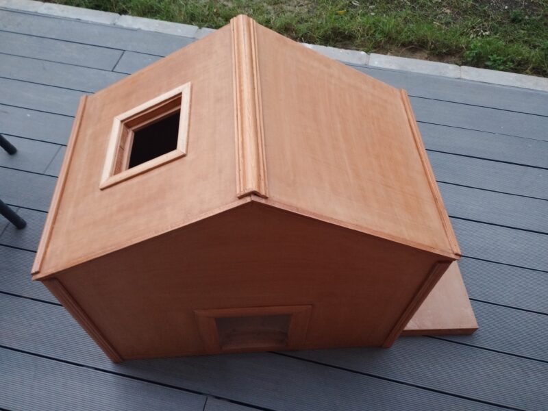 Puppies or cats home