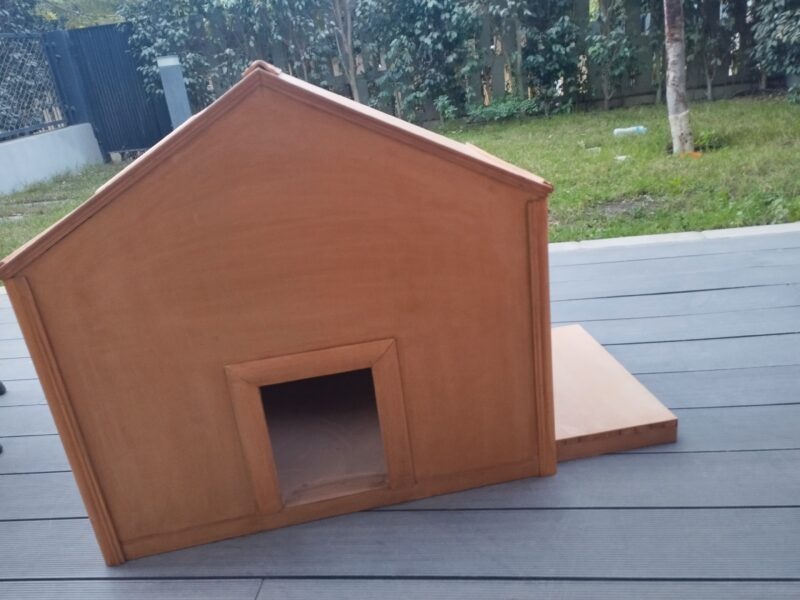 Puppies or cats home