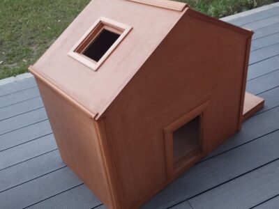 Puppies or cats home