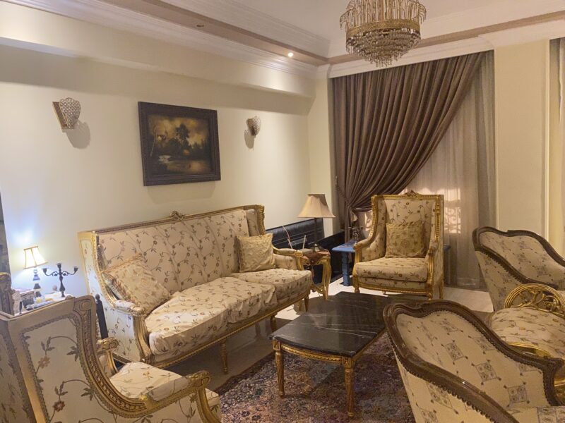 صالون حرير فرنساوي